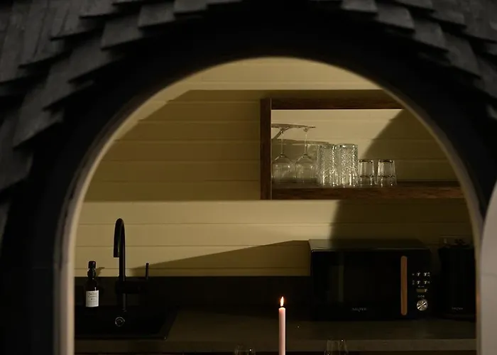 The Forest At Mount Congreve Gardens * Kilmeaden