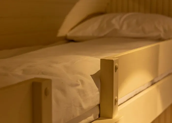 The Forest At Mount Congreve Gardens Kilmeaden