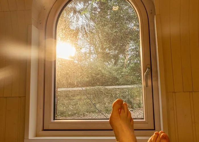 Feriepark The Forest At Mount Congreve Gardens *