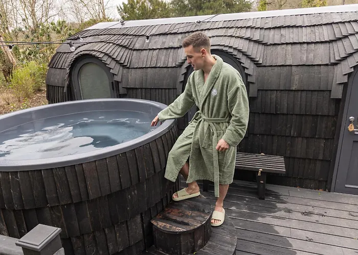 The Forest At Mount Congreve Gardens Kilmeaden