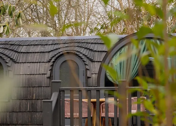 The Forest At Mount Congreve Gardens Kilmeaden