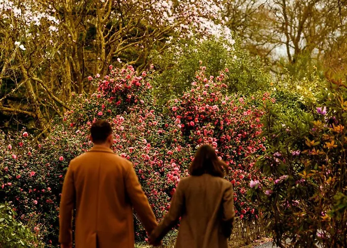 The Forest At Mount Congreve Gardens База отдыха
