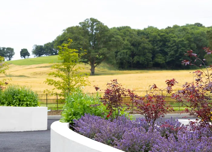 База отдыха The Forest At Mount Congreve Gardens