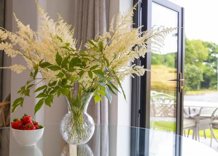 The Forest At Mount Congreve Gardens