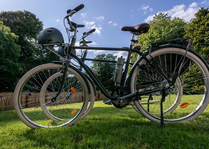 The Forest At Mount Congreve Gardens База отдыха Kilmeaden