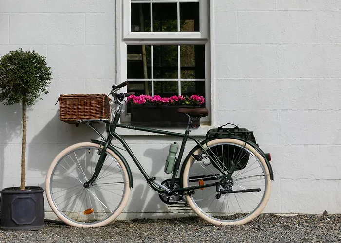 The Forest At Mount Congreve Gardens База отдыха *