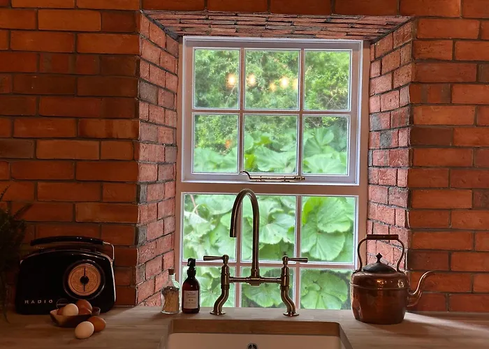 The Forest At Mount Congreve Gardens * Kilmeaden