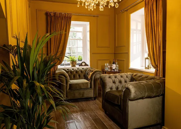 The Forest At Mount Congreve Gardens Kilmeaden